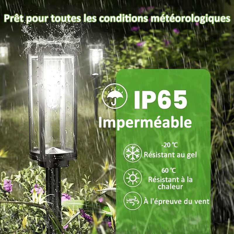 ÉcoLamp - Lampes solaires pour jardin🔥 2 pour le prix d'1 🔥