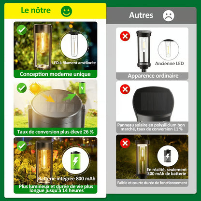 ÉcoLamp - Lampes solaires pour jardin🔥 2 pour le prix d'1 🔥