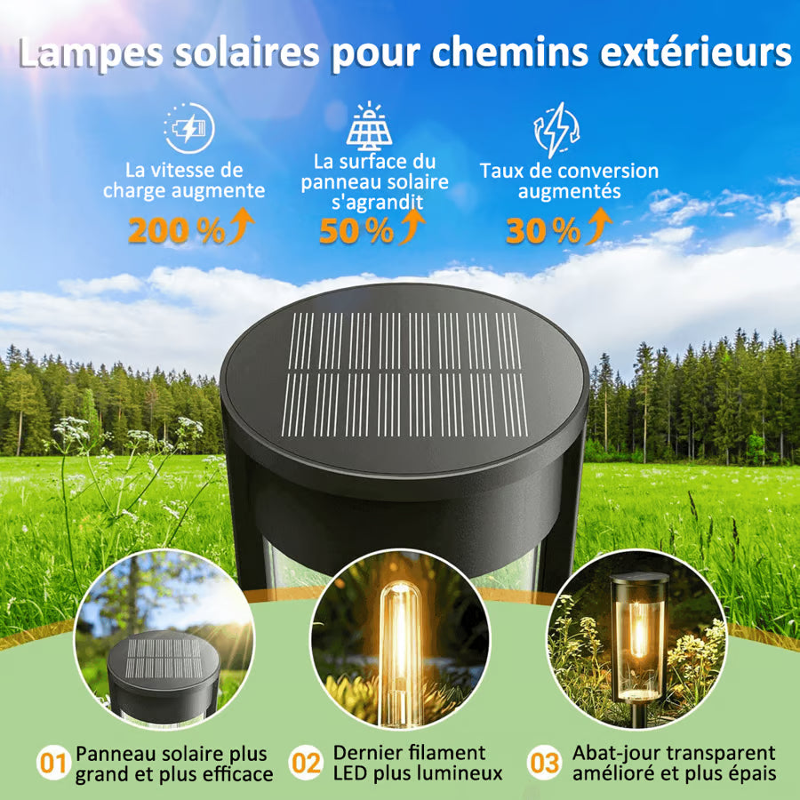 ÉcoLamp - Lampes solaires pour jardin🔥 2 pour le prix d'1 🔥